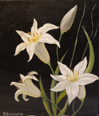 White Lily 30x35 canvas panel oil&acryl