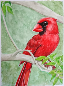 Red bird. watercolor, 24x32 cm